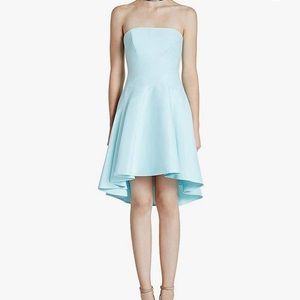 Halston Heritage Strapless Fit & Flare Dress